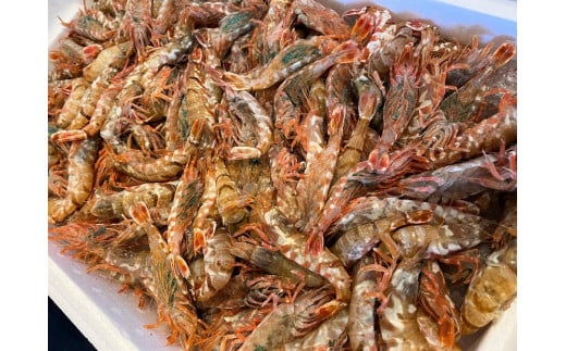 天然 むき身モサエビ お刺身用200g×3P