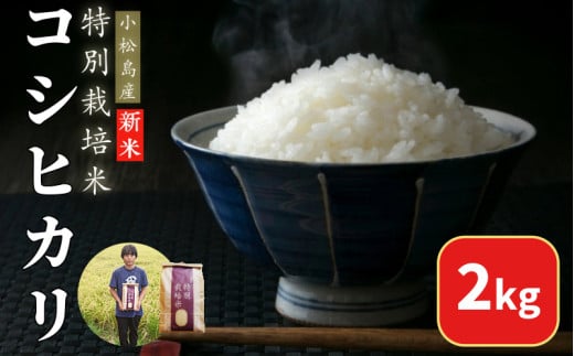 【2025年9月順次発送】令和7年産 新米 白米 コシヒカリ 2kg 特別栽培米 健康  安心 安全  お試し 少量 小分け 四国 徳島 小松島 米 おいしい kome お米 こめ おこめ こしひかり 精米 国産 ごはん ご飯 白飯 ゴハン 人気 コスパ おすすめ TKG 卵かけご飯 おにぎり おむすび