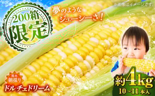 【5月下旬から順次発送】【限定数量】スイートコーン(ドルチェドリーム)約4kg【なかむら農園】 [BHCJ002]