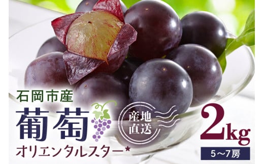 【 2025年 先行予約 】 オリエンタルスター 2kg 開田ぶどう園 5房 ～ 7房 ぶどう ブドウ 国産 果物 くだもの 葡萄 フルーツ 2キロ 9月 発送 夏 秋 旬 品種 茨城県産 産地直送 産直 農家直送 冷蔵 茨城県 石岡市 (A01-015) 1991212 - 茨城県石岡市