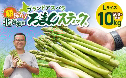 ロマンス農園 ろまんスティック Lサイズ 10kg　T049-004