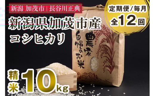 【定期便12ヶ月毎月お届け】新潟県加茂市産コシヒカリ 精米 10kg 新潟米 お米 白米 ご飯 ライス こしひかり 加茂市 長谷川正典