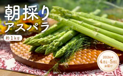 【先行受付】朝採りアスパラガス(約1kg)/2026年4月上旬~5月中旬お届け 647634 - 三重県伊賀市