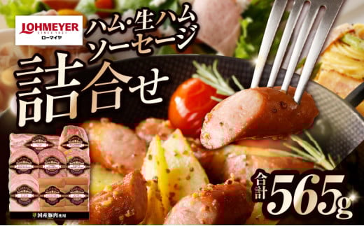 ローマイヤ　ハム・生ハム・ソーセージ詰合せ ns009-023 【加工品 ギフトセット 国産 豚肉 ロースハム 皮なしウインナー ビアサラミ モルタデラ】 1145053 - 栃木県那須塩原市