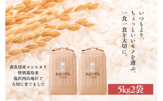 【令和7年産新米予約】【白米】令和7年度産 あまいずみ 南魚沼産コシヒカリ 5kg×2袋【2025年10月上旬より順次発送予定】