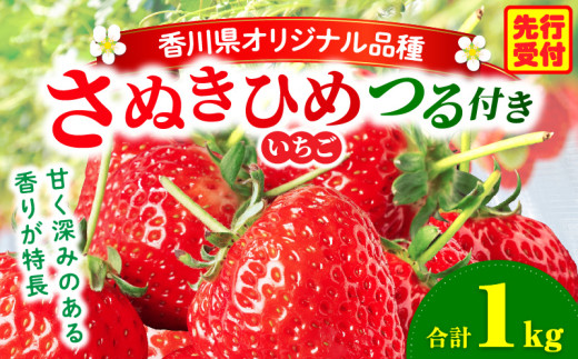 三木町地域いちご部会『さぬきひめ』 つる付き 1kg | スイーツ いちご ストロベリー イチゴ さぬき姫 さぬきひめ 苺 甘い 冷蔵 1kg以上 フルーツ 旬 果物 香川県 デザート 青果物 贈答 プレゼント 贈り物 おすすめ |_mk006-014