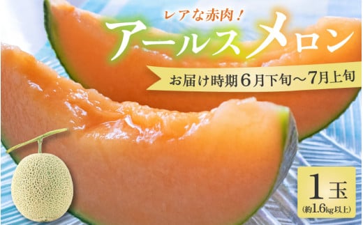 【先行予約】【赤肉】アールスメロン 1玉（約1.6kg以上）赤肉品種 高級メロン！ ／ マスクメロン 大玉 果物 フルーツ 夏 ギフト 農家直送 ※2025年6月下旬以降順次発送予定 [aw065-a003] 1098681 - 福井県あわら市