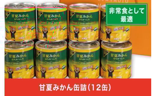 B80-14 甘夏みかん缶詰(12缶入) 397918 - 熊本県芦北町