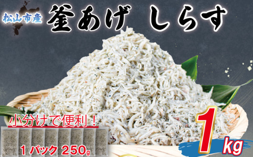 【訳あり】 釜揚げ しらす 1kg |  訳ありしらす 不揃いシラス 国産しらす 冷凍シラス 釜揚げしらす シラス丼 海の幸 松山市産しらす 愛媛県産シラス しらす シラス 釜揚げしらす 惣菜 弁当 簡単調理 ごはんのお供 加工品  海の幸 しらす丼 グルメ 食品 魚介 小魚 魚 鮮魚 海鮮  シラス 卵 たまご 訳あり商品  愛媛県 松山市 2108525 - 愛媛県松山市