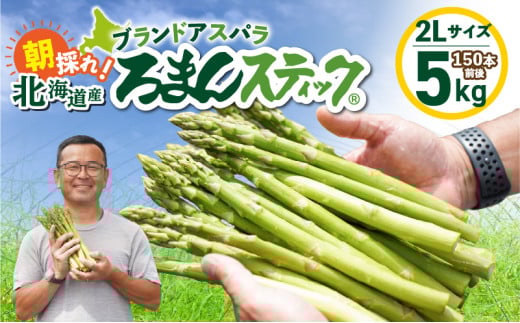 ロマンス農園 ろまんスティック 2Lサイズ 5kg　T049-007 2103747 - 北海道苫小牧市