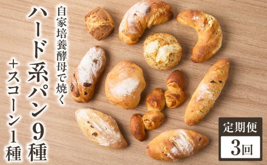 【全3回定期便】自家培養酵母で焼くハード系パン9種＋スコーン1種セット！ハード系 パン スコーン 自然素材「Boulangerie Faveur」京都府 木津川市【065-04-T02】