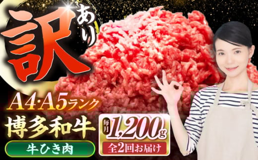 【全2回定期便】【訳あり】 博多和牛 100％ ミンチ (挽肉) 1.2kg（300g×4個） 《豊前市》【株式会社木村食品】 ひき肉 牛肉 ハンバーグ [VDZ096] 2107524 - 福岡県豊前市