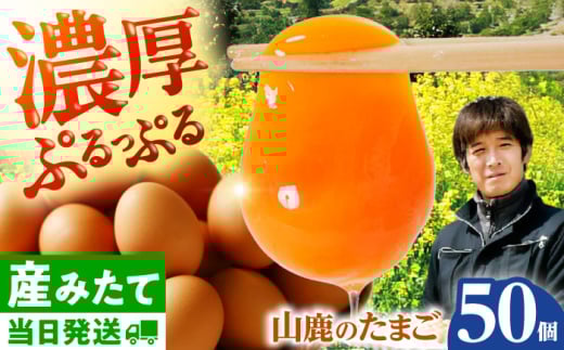 たまご 50個 約3kg【マツヤマエッグファーム】 [ZAW005]