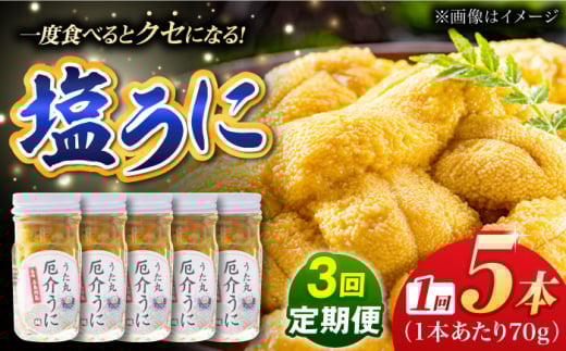 【全3回定期便】厄介うに ガンガゼの塩うに 70g×5本 / ウニ 雲丹 五島市 / うた丸 [PGA006]