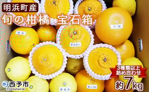 産地直送!! 愛媛県明浜町産 旬の柑橘 宝石箱(宇都宮農園)