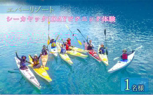 [逗子海岸・エバーリゾート ]シーカヤック 1DAY ピクニック体験 1名様 ランチ付き ピクニック 体験 海 カヤック ガイド ランチ 無人島 波 水着 ウエットスーツ 逗子海岸 エバーリゾート 神奈川県 逗子市 