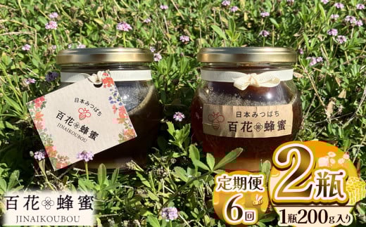 【定期便6回】日本ミツバチの百花蜂蜜(2瓶) | 定期便 はちみつ ハチミツ ミツバチ 純度100％国産 無添加 栃木県 下野市