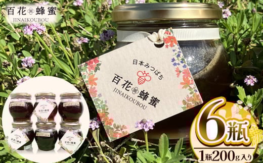 日本ミツバチの百花蜂蜜（6瓶） ／ ハチミツ はちみつ ミツバチ 純度100％国産 無添加 栃木県