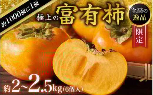 【先行予約】富有柿 2~2.5kg 6個入 至高の逸品 約1000個に１個！ 2025年10月下旬～2025年11月下旬頃に順次発送予定（お届け日指定不可）/ 和歌山 柿 かき フルーツ 果物 くだもの 刀根 種無し【kgr013】 1641174 - 和歌山県串本町