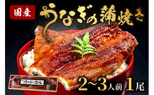 うなぎの蒲焼き2~3人前（1尾）ウナギ特製タレと山椒付き　うなぎの蒲焼・ウナギの蒲焼き　ウナギ 鰻 蒲焼 かばやき タレ 丑の日 ふるさと納税 うなぎ ふるさと納税 鰻 国産 ふるさと納税 惣菜 京都 ギフト 贈り物 お祝い　AN00072