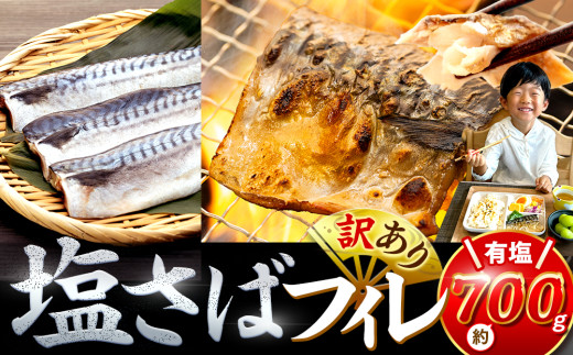 訳あり 塩サバ 約700g 冷凍 鯖 塩 さば 魚 さかな 海鮮 海産物 おかず ご飯 おすすめ 人気 愛知県 南知多町 【配送不可地域：北海道･沖縄県･離島】