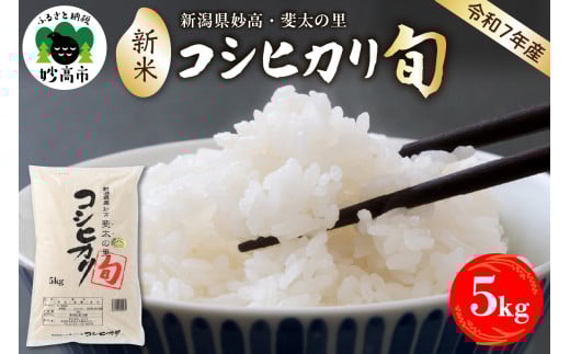 【2025年12月中旬発送】【令和7年産米】新潟県妙高産斐太の里コシヒカリ「旬」5kg