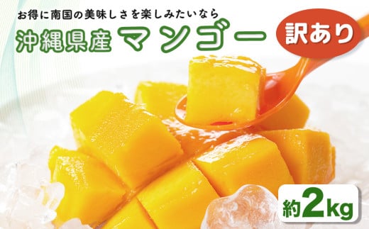 ハナトフルーツ 沖縄県産 訳ありマンゴー２ｋｇ 【2025年発送】