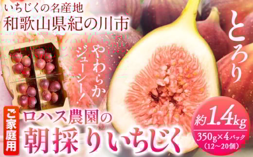 ご家庭用 朝採りいちじく 約1.4kg 350g×4パック ロハス農園《8月上旬-11月末頃出荷》和歌山県 紀の川市 無花果 イチジク【配送不可地域あり】