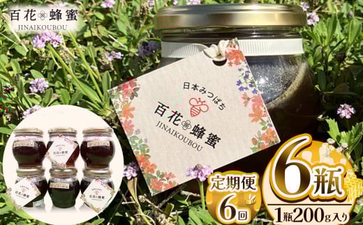 【定期便6回】日本ミツバチの百花蜂蜜 6瓶 (200g入) | 定期便6回 ハチミツ はちみつ ミツバチ 純度100％国産 無添加 栃木県 下野市