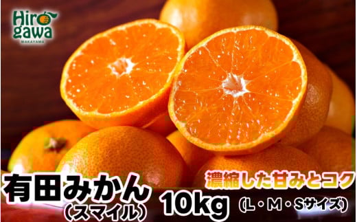 有田 みかん 10kg 秀品 / 温州みかん 有田みかん 甘い 和歌山 柑橘 ※11月下旬～1月中旬に順次発送 【sml004-r-10A】 652819 - 和歌山県広川町