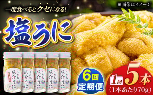 【全6回定期便】厄介うに ガンガゼの塩うに 70g×5本 / ウニ 雲丹 五島市 / うた丸 [PGA007]