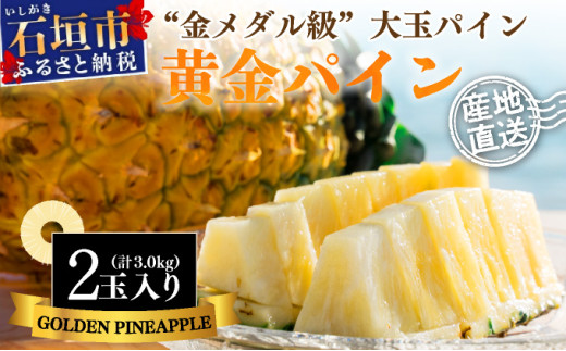 【先行予約】《2025年夏季 順次発送》黄金パイン大玉２個入 計3.0kg 【 産地直送 沖縄 石垣 フルーツ パイナップル パイン 黄金パイン 】 SI-51 1336638 - 沖縄県石垣市