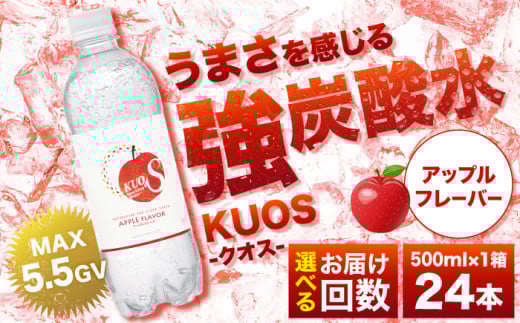 強炭酸水クオス アップルフレーバー 500ml×24本 日田市 / 株式会社OTOGINO [AREF014]
