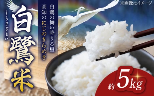 【先行予約】 農薬節減！ 白鷺米 にじのきらめき 約5kg ＜2025年9月〜発送＞ / 高知 米 お米 精米 　【津ノ宮農園】 [ATBV017]