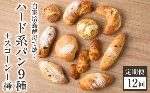 【全12回定期便】自家培養酵母で焼くハード系パン9種＋スコーン1種セット！ハード系 パン スコーン 自然素材「Boulangerie Faveur」京都府 木津川市【065-04-T04】