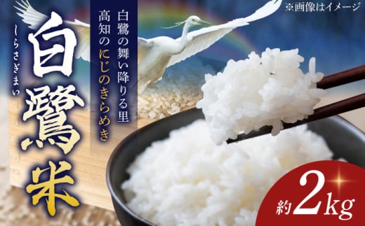 [先行予約] 農薬節減! 白鷺米 にじのきらめき 約2kg [2025年9月〜発送] / 高知 米 お米 精米 [津ノ宮農園] [ATBV003]