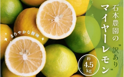 訳あり 石本農園の マイヤーレモン サイズ混合 約4.5kg 【12月中旬から12月末までに順次発送】/ レモン 柑橘 れもん 檸檬 マイヤー 紀宝