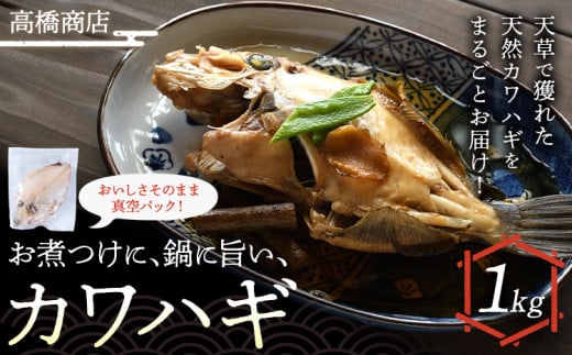 お煮つけに鍋に旨いカワハギ 高橋商店《30日以内に出荷予定(土日祝除く)》魚 カワハギ 冷凍 白身魚 煮つけ 海産物 天草 苓北 熊本 送料無料【配送不可地域あり】