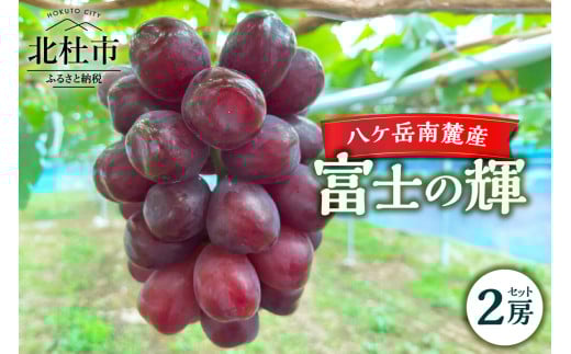 【2025年先行予約】八ケ岳南麓産「富士の輝」  ブラックシャインマスカット 2025年 先行予約 2房 セット 期間限定 数量限定 富士の輝 新品種 葡萄 ぶどう ブドウ フルーツ 果物 大粒 濃厚 コク 甘い 希少種 シャインマスカット 山梨県 北杜市 八ヶ岳南麓