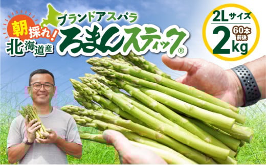 ロマンス農園 ろまんスティック 2Lサイズ 2kg　T049-006 2103746 - 北海道苫小牧市
