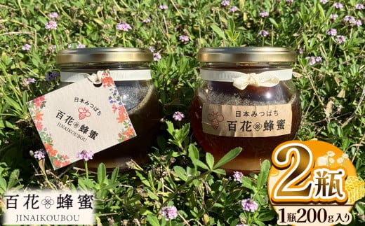 日本ミツバチの百花蜂蜜 2瓶 (200g入) | ハチミツ はちみつ ミツバチ 純度100％国産 無添加 栃木県 下野市 1378696 - 栃木県下野市
