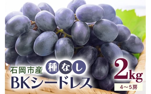 【 2025年 先行予約 】 BKシードレ