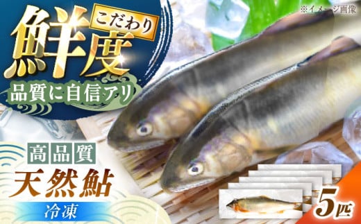 [冷凍]天然あゆ 5匹入り(約500g) / あゆ 天然 鮎 冷凍 / 恵那市 / 恵那物産館 [AUFS009]