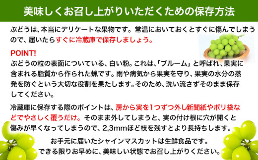 アイテムID:425902の画像4枚目