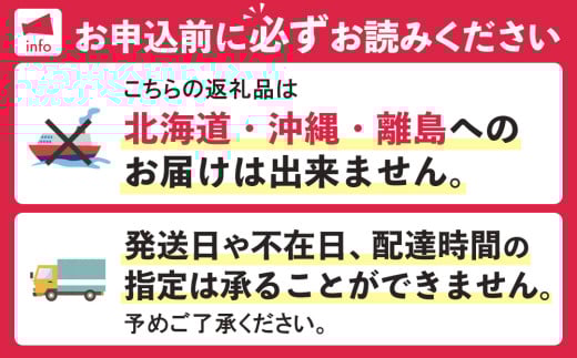先行受付】佐賀県産ライチ 500g(贈答用)【生ライチ ライチ 生 先行受付】佐賀県産ライチ 500g(贈答用)【生ライチ ライチ 生