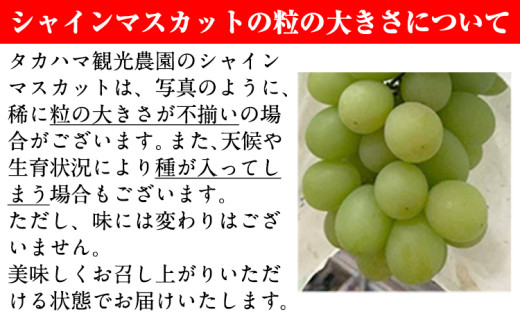 アイテムID:425902の画像5枚目