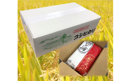 「いずもざきの輝き（コシヒカリ）５kg」配送イメージ