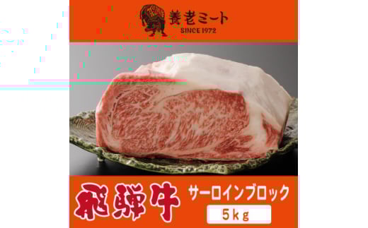飛騨牛 サーロインブロック 5kg【1622929】