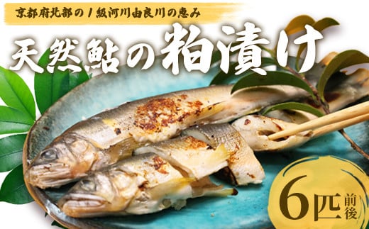 天然鮎の粕漬け 6匹 【 由良川漁協 あゆ 鮎 アユ 魚 魚介 川魚 海鮮 漬け魚 粕漬け 酒粕 天然 大人 贅沢 おつまみ 酒の肴 珍味 綾部 京都 】 2108829 - 京都府綾部市
