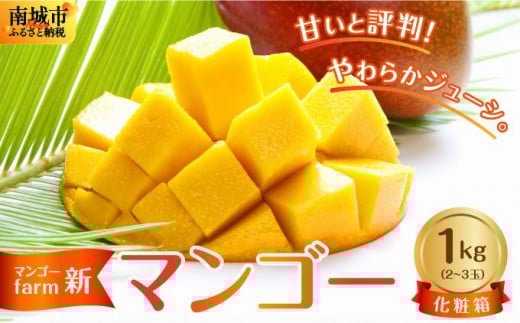 沖縄県南城市産マンゴー化粧箱1kg